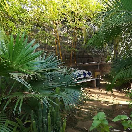 Harvest House Nicaragua Otel León Dış mekan fotoğraf