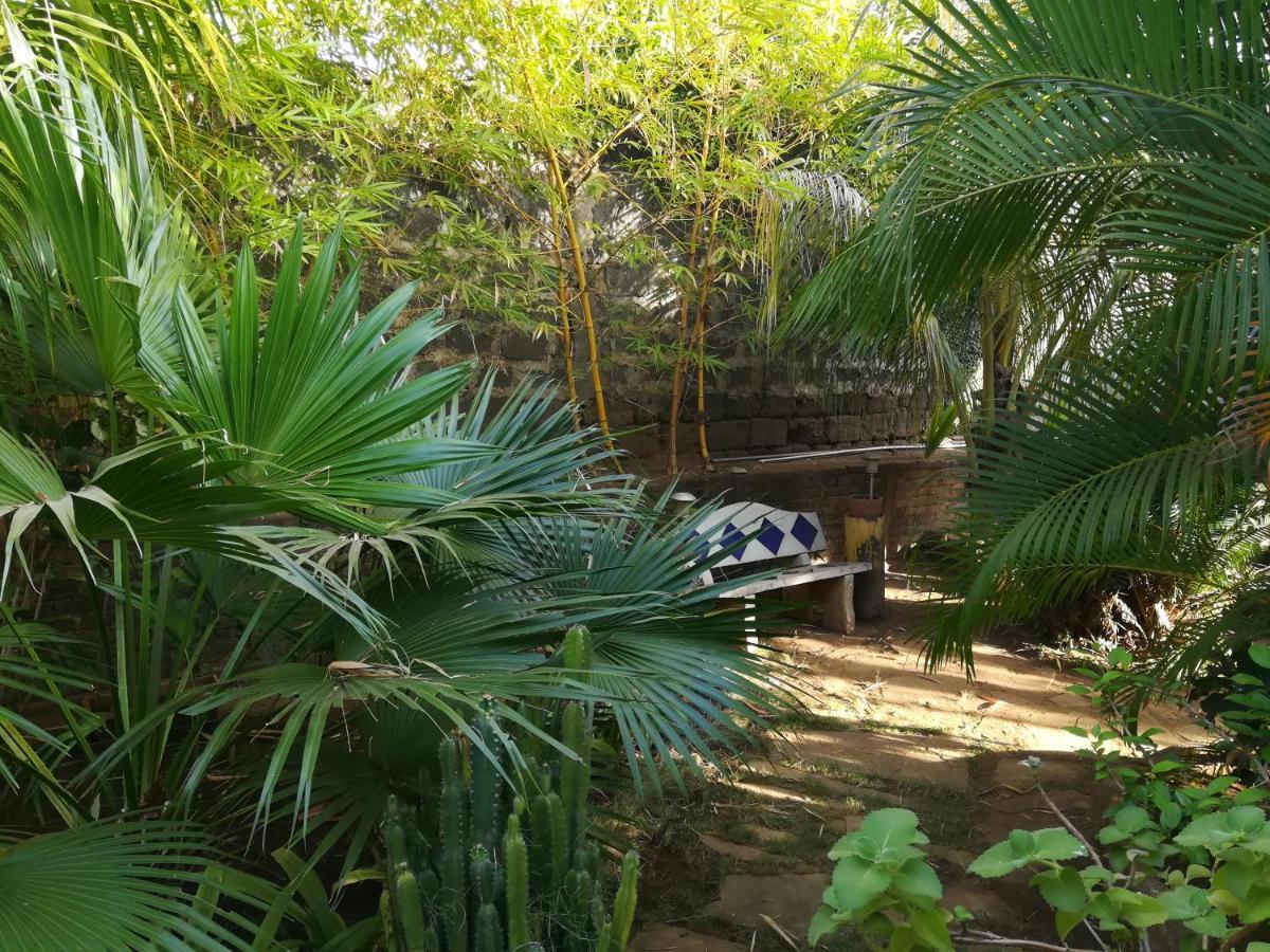 Harvest House Nicaragua Otel León Dış mekan fotoğraf