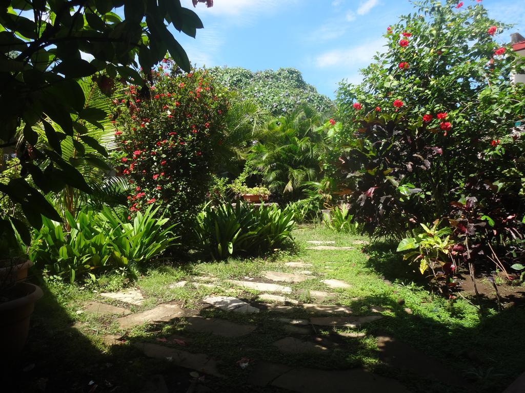 Harvest House Nicaragua Otel León Dış mekan fotoğraf