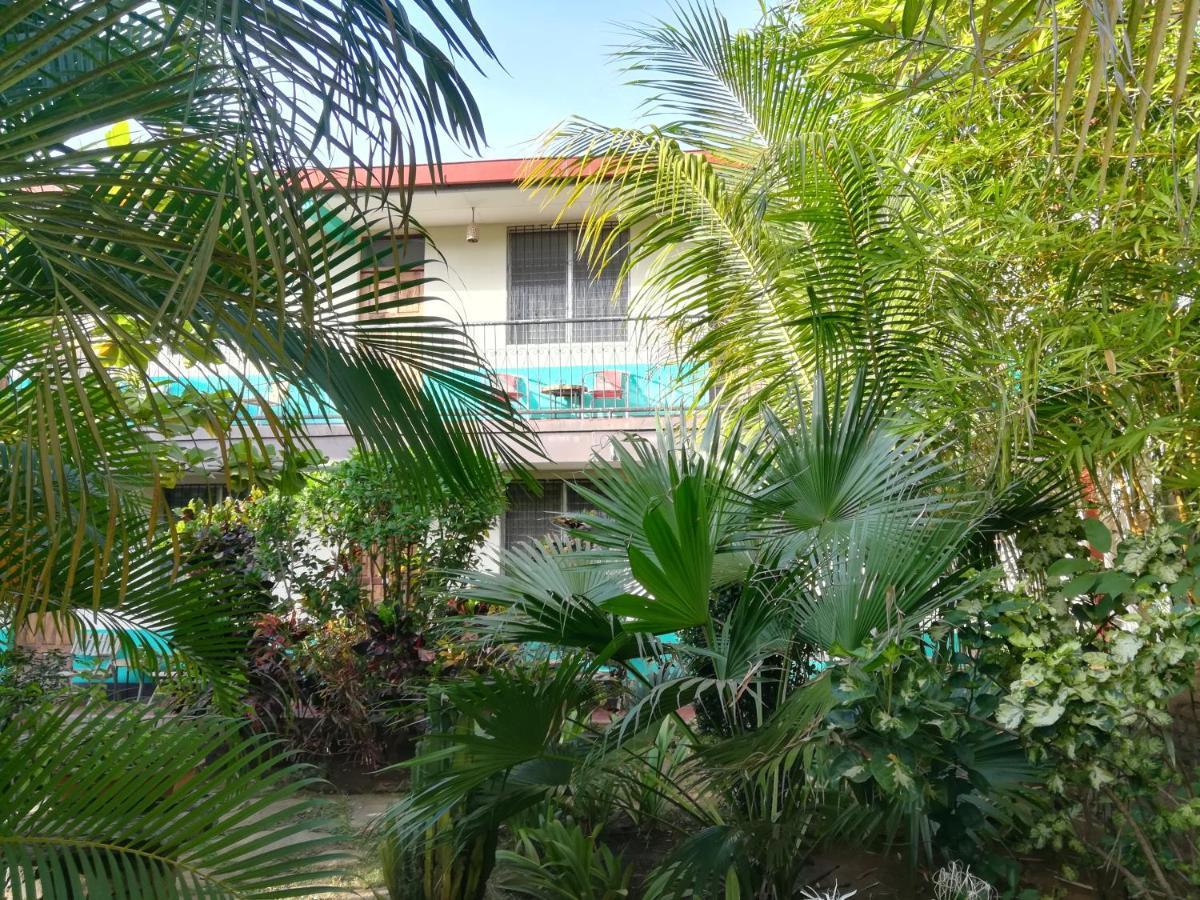 Harvest House Nicaragua Otel León Dış mekan fotoğraf